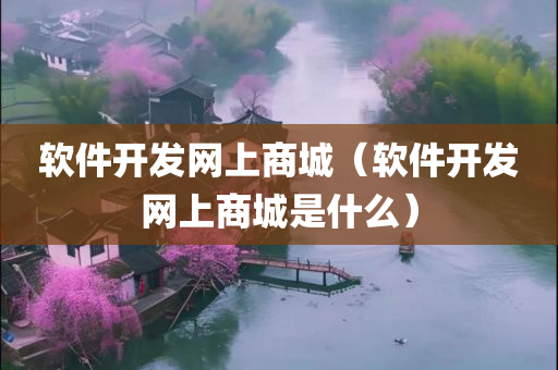 软件开发网上商城（软件开发网上商城是什么）