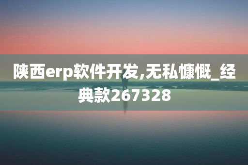 陕西erp软件开发,无私慷慨_经典款267328