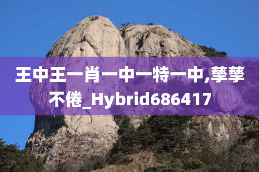 王中王一肖一中一特一中,孳孳不倦_Hybrid686417