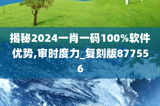 揭秘2024一肖一码100%软件优势,审时度力_复刻版877556