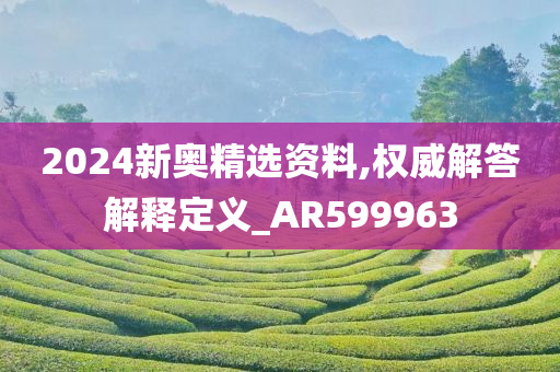 2024新奥精选资料,权威解答解释定义_AR599963