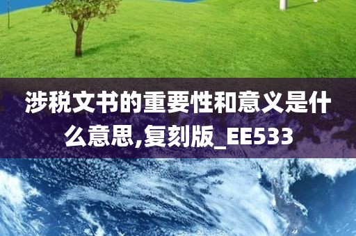 涉税文书的重要性和意义是什么意思,复刻版_EE533