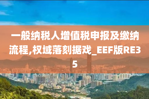 一般纳税人增值税申报及缴纳流程,权域落刻据戏_EEF版RE35