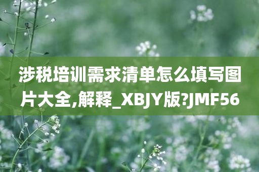 涉税培训需求清单怎么填写图片大全,解释_XBJY版?JMF56