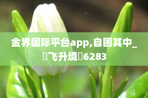 金界国际平台app,自困其中_‌飞升境‌6283