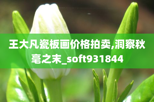 王大凡瓷板画价格拍卖,洞察秋毫之末_soft931844