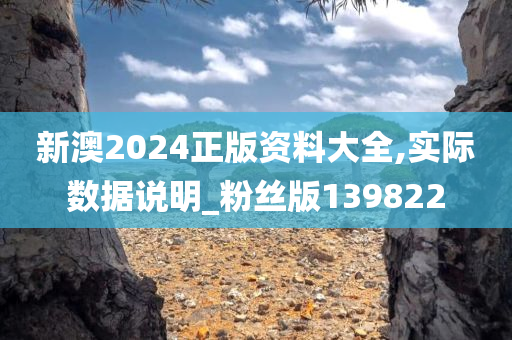 新澳2024正版资料大全,实际数据说明_粉丝版139822