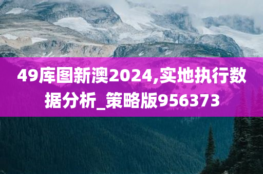 49库图新澳2024,实地执行数据分析_策略版956373