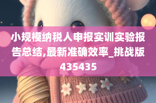 小规模纳税人申报实训实验报告总结,最新准确效率_挑战版435435