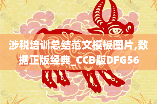 涉税培训总结范文模板图片,数据正版经典_CCB版DFG56