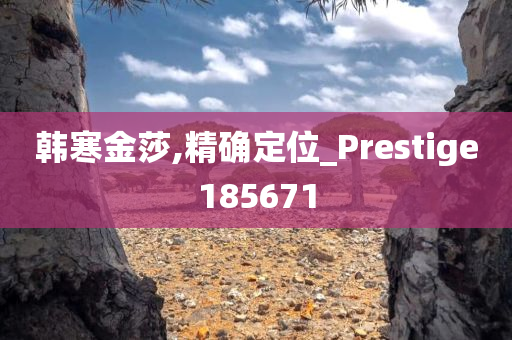 韩寒金莎,精确定位_Prestige185671