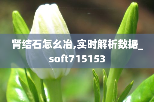 肾结石怎幺冶,实时解析数据_soft715153