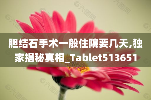 胆结石手术一般住院要几天,独家揭秘真相_Tablet513651