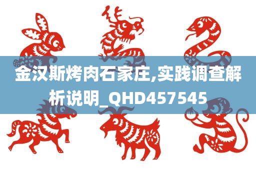 金汉斯烤肉石家庄,实践调查解析说明_QHD457545