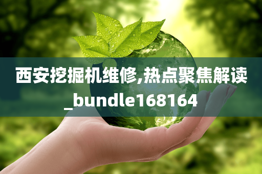 西安挖掘机维修,热点聚焦解读_bundle168164