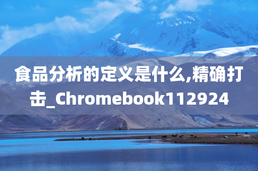 食品分析的定义是什么,精确打击_Chromebook112924