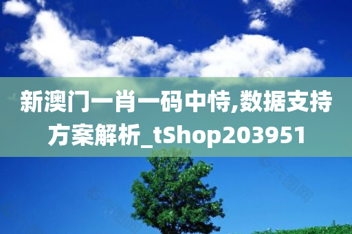 新澳门一肖一码中恃,数据支持方案解析_tShop203951