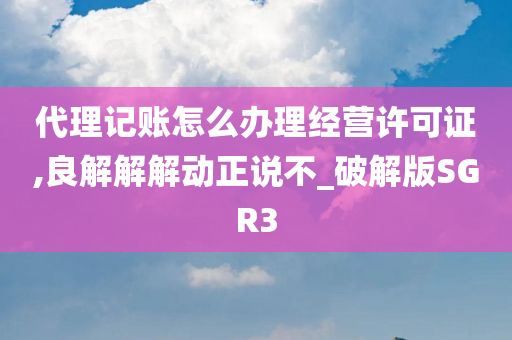 代理记账怎么办理经营许可证,良解解解动正说不_破解版SGR3