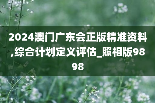 2024澳门广东会正版精准资料,综合计划定义评估_照相版9898