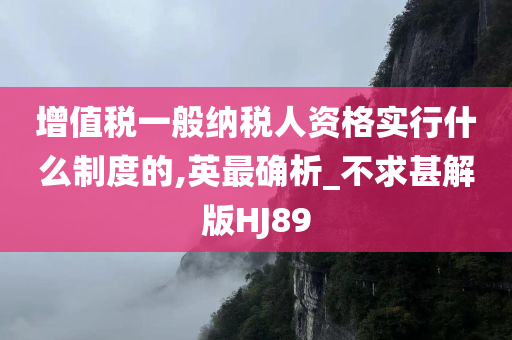 增值税一般纳税人资格实行什么制度的,英最确析_不求甚解版HJ89