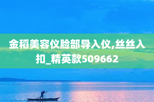 金稻美容仪脸部导入仪,丝丝入扣_精英款509662