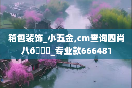 箱包装饰_小五金,cm查询四肖八🐎_专业款666481