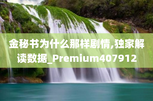 金秘书为什么那样剧情,独家解读数据_Premium407912