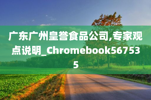 广东广州皇誉食品公司,专家观点说明_Chromebook567535