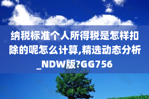 纳税标准个人所得税是怎样扣除的呢怎么计算,精选动态分析_NDW版?GG756