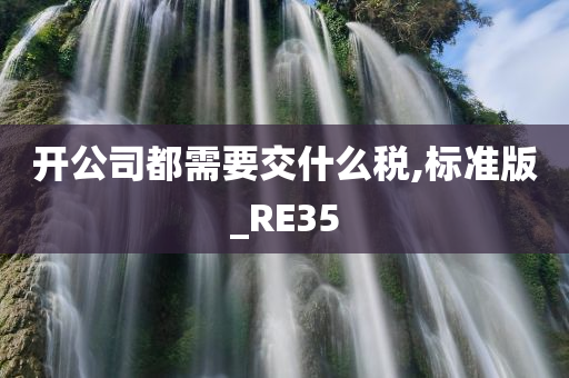 开公司都需要交什么税,标准版_RE35