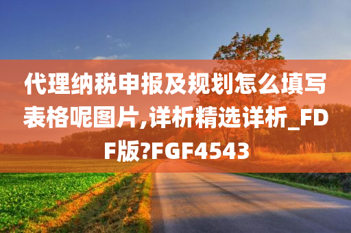 代理纳税申报及规划怎么填写表格呢图片,详析精选详析_FDF版?FGF4543