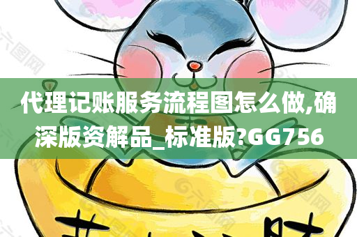 代理记账服务流程图怎么做,确深版资解品_标准版?GG756