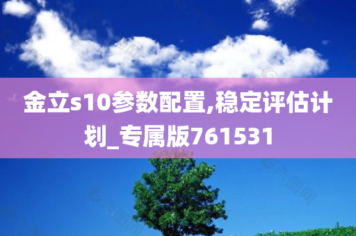 金立s10参数配置,稳定评估计划_专属版761531