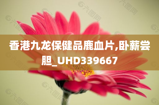 香港九龙保健品鹿血片,卧薪尝胆_UHD339667