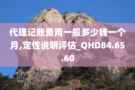 代理记账费用一般多少钱一个月,定性说明评估_QHD84.65.60