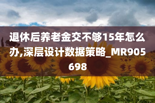 退休后养老金交不够15年怎么办,深层设计数据策略_MR905698