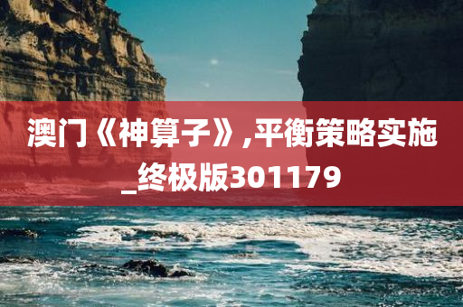 澳门《神算子》,平衡策略实施_终极版301179