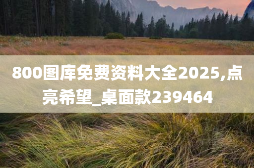 800图库免费资料大全2025,点亮希望_桌面款239464