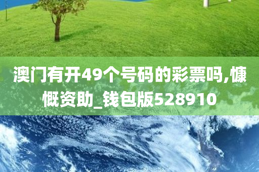 澳门有开49个号码的彩票吗,慷慨资助_钱包版528910