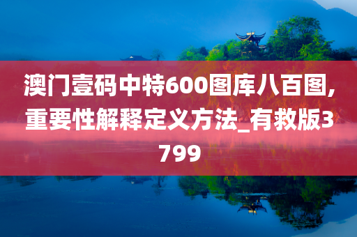 澳门壹码中特600图库八百图,重要性解释定义方法_有救版3799