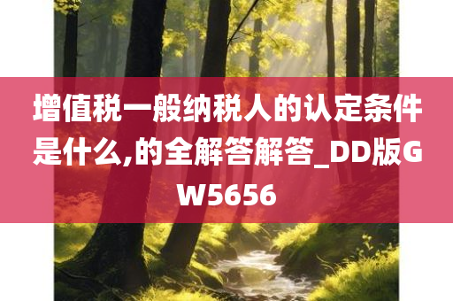 增值税一般纳税人的认定条件是什么,的全解答解答_DD版GW5656