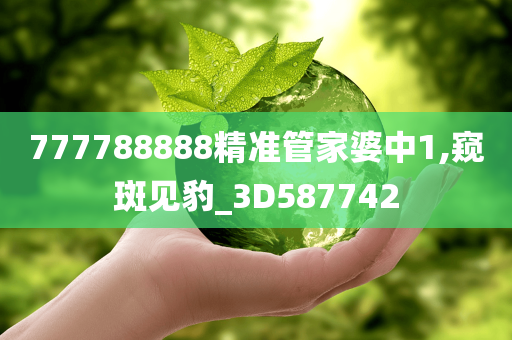 777788888精准管家婆中1,窥斑见豹_3D587742