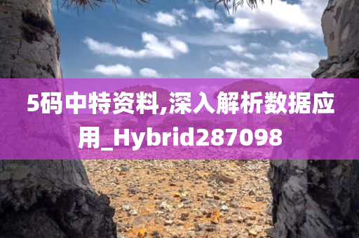 5码中特资料,深入解析数据应用_Hybrid287098