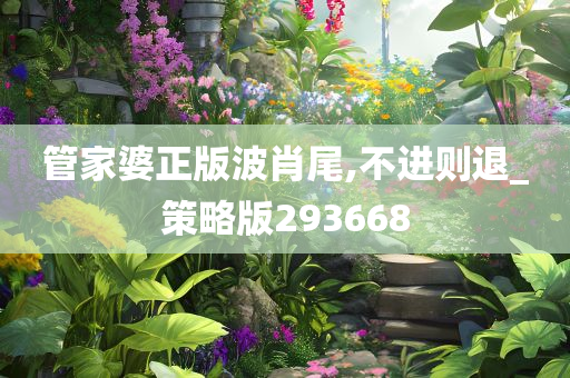 管家婆正版波肖尾,不进则退_策略版293668