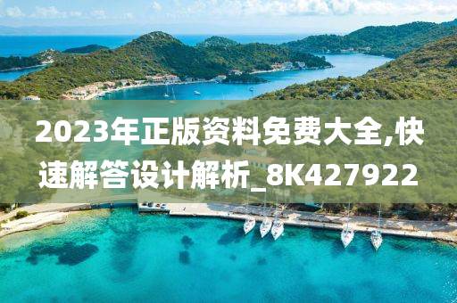 2023年正版资料免费大全,快速解答设计解析_8K427922