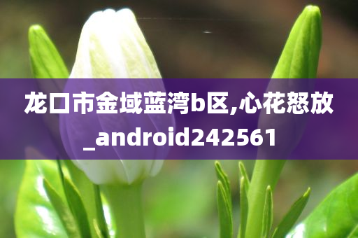 龙口市金域蓝湾b区,心花怒放_android242561