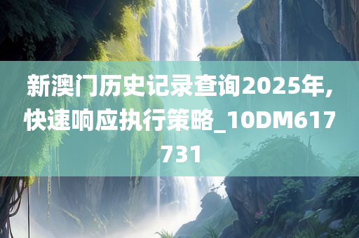 新澳门历史记录查询2025年,快速响应执行策略_10DM617731