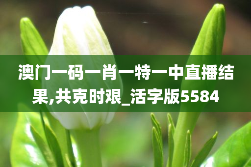 澳门一码一肖一特一中直播结果,共克时艰_活字版5584