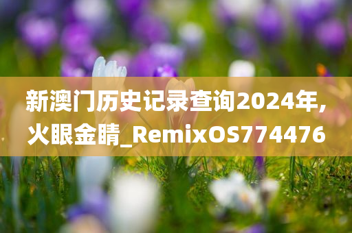 新澳门历史记录查询2024年,火眼金睛_RemixOS774476