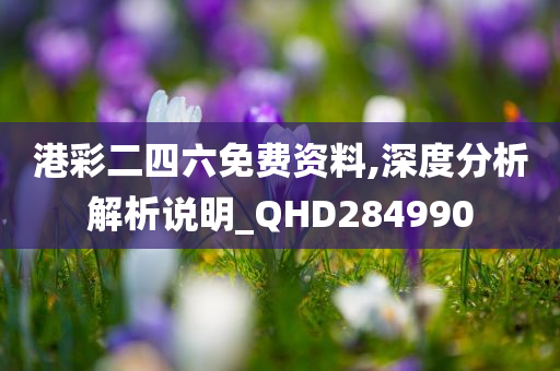 港彩二四六免费资料,深度分析解析说明_QHD284990